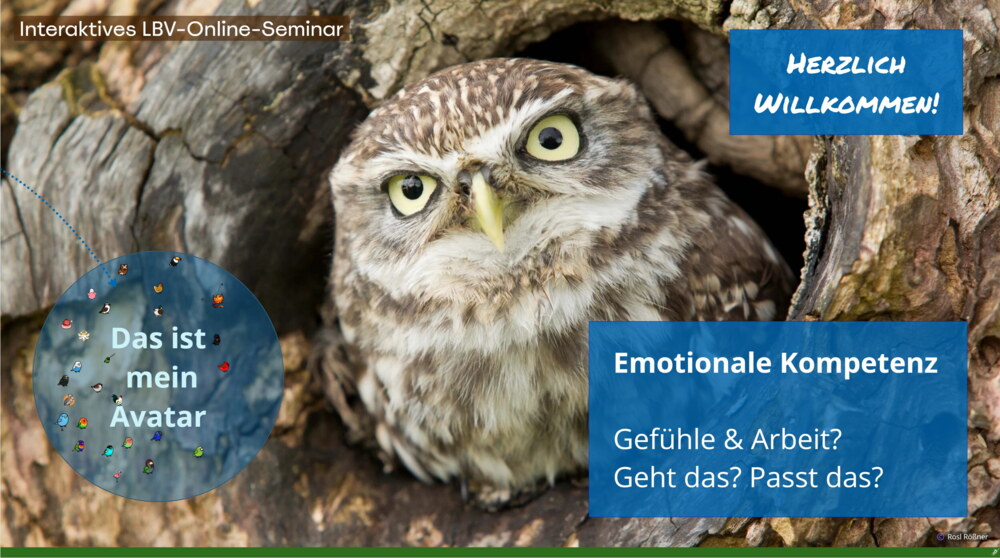 Ein Steinkauz schaut aufmerksam aus einer Baumhöhle. Darüber ein Textfeld „Emotionale Kompetenz – Gefühle & Arbeit? Geht das? Passt das?“