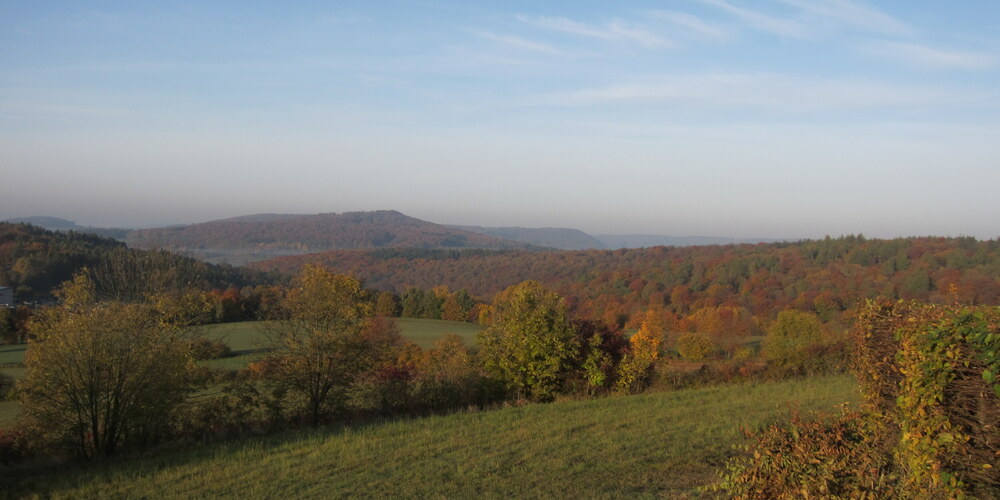 eine Herbstlandschaft: Wiesen und Wälder in den unterschiedlichsten herbstlichen Farbtönen unter einem blauen Himmel