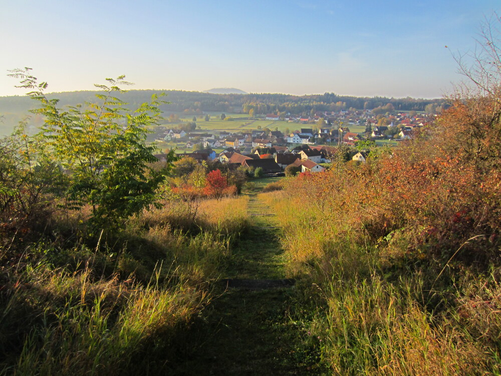 ein herbstlicher Weg mit bunten Blättern