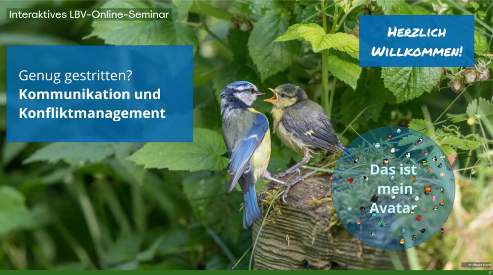 Ein Blaumeisen-Jungvogel sperrt gerade seinen Schnabel auf und wird gerade von einem Elternteil gefüttert. Daneben steht eine blaue Box mit weißer Schrift: "Genug gestritten? Kommunikation und Konfliktmanagement".