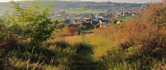 ein herbstlicher Weg mit bunten Blättern